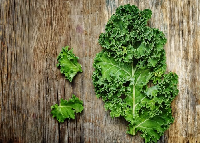 best fruits and vegetables to lose weight fast